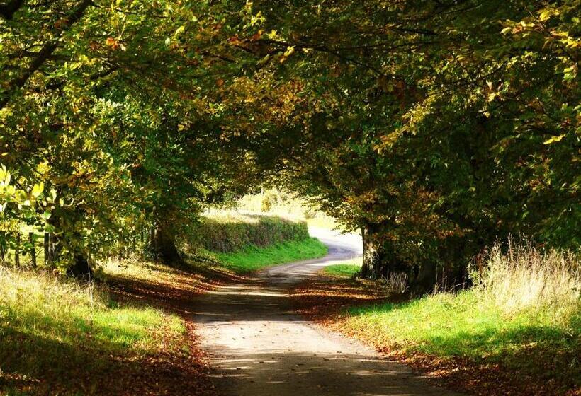 客栈  The Red Lion