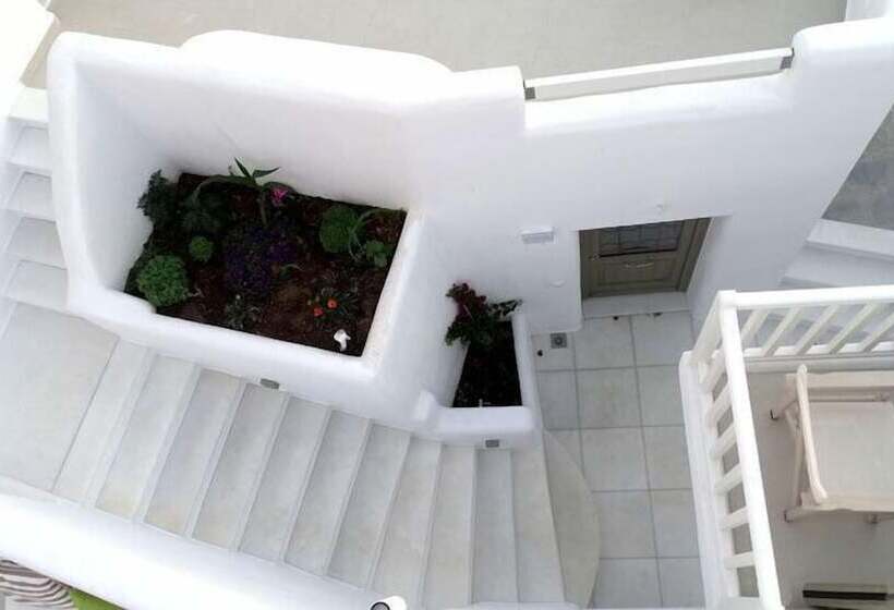 ホテル Naxos Anassa Suites