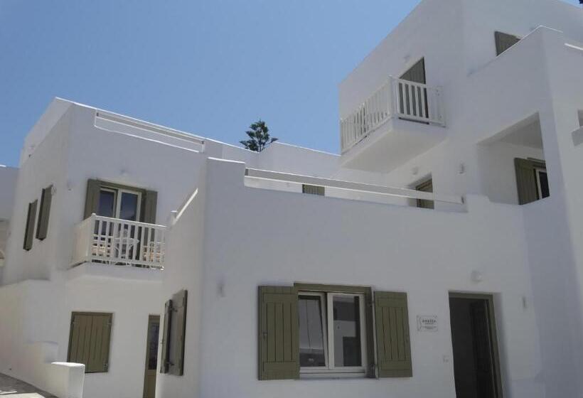 ホテル Naxos Anassa Suites