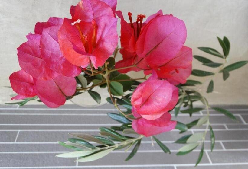 ホテル Naxos Anassa Suites