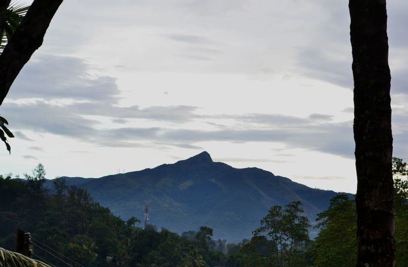 호텔 Blue Haven Guest House