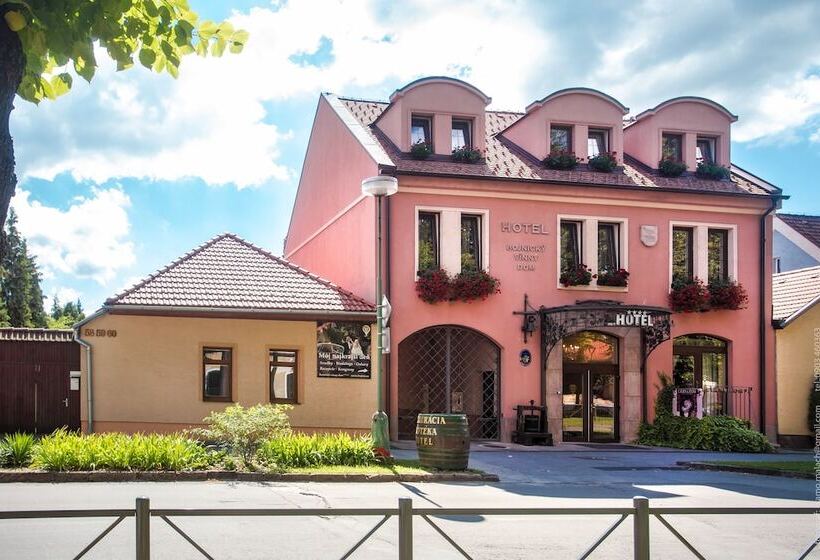 호텔 Bojnicky Vinny Dom