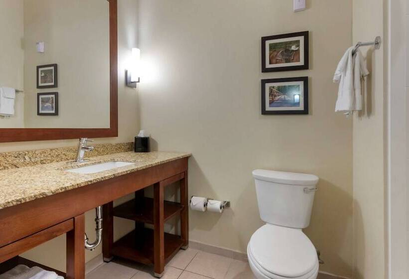 호텔 Comfort Suites Billings