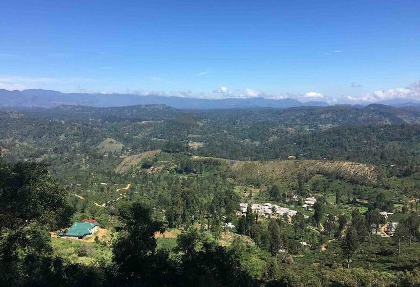 Отель Daffodil S