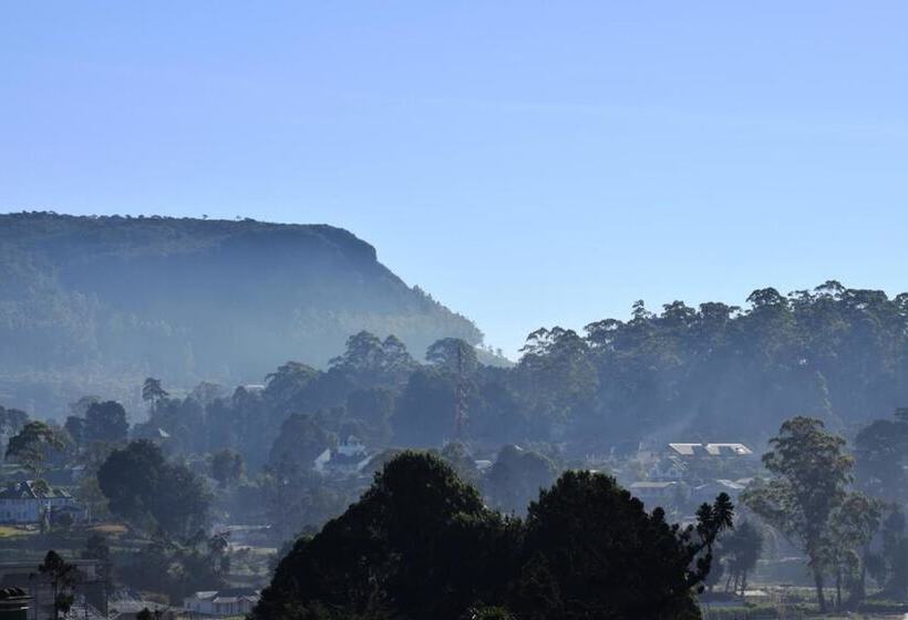 Отель Daffodil S