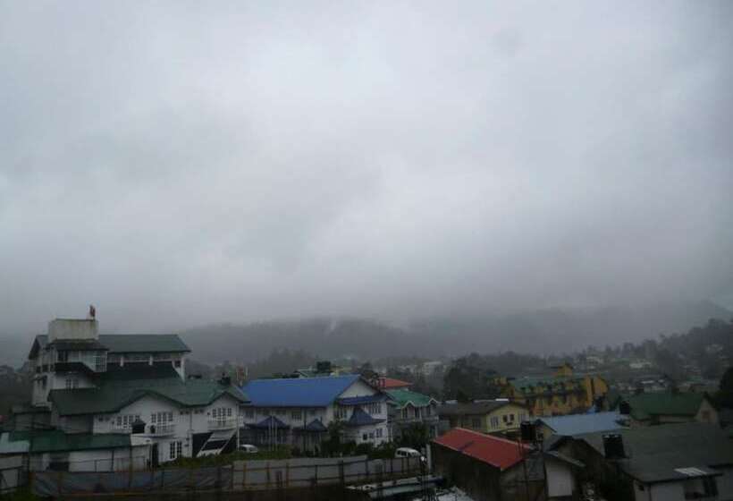 Отель Daffodil S