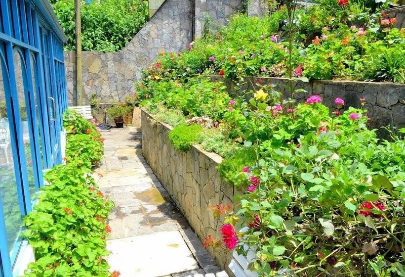 Отель Daffodil S