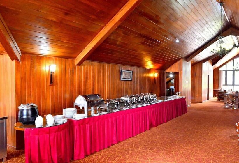 Отель Daffodil S