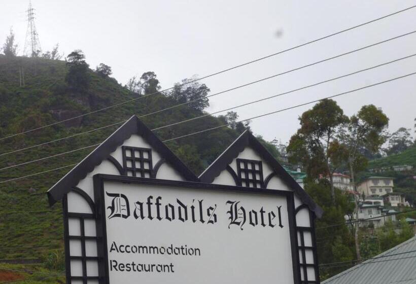 Отель Daffodil S
