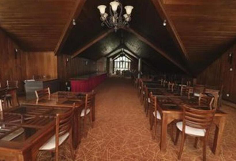 Отель Daffodil S