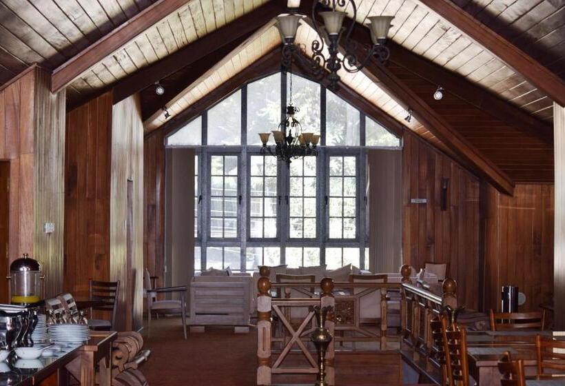 Отель Daffodil S