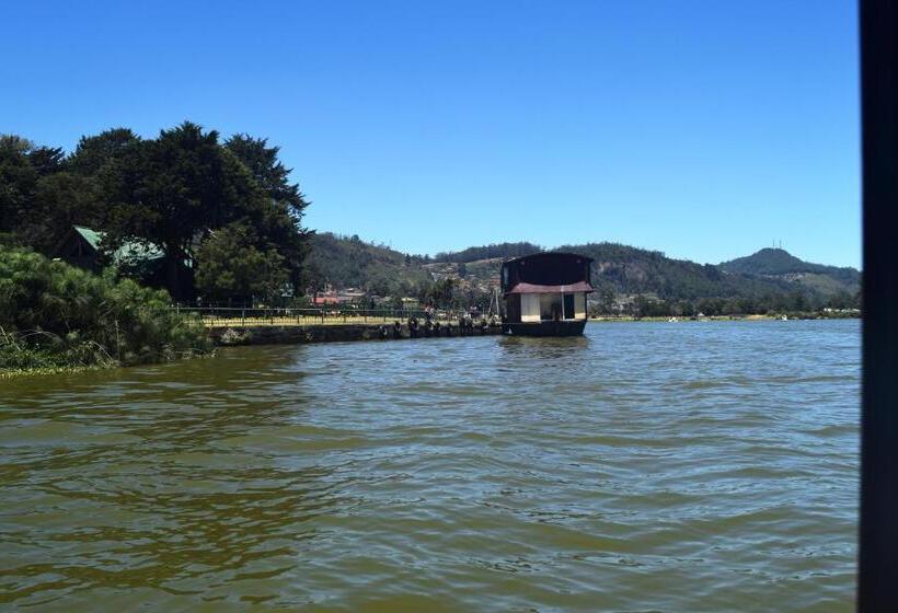 Отель Daffodil S