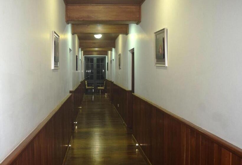 Отель Daffodil S