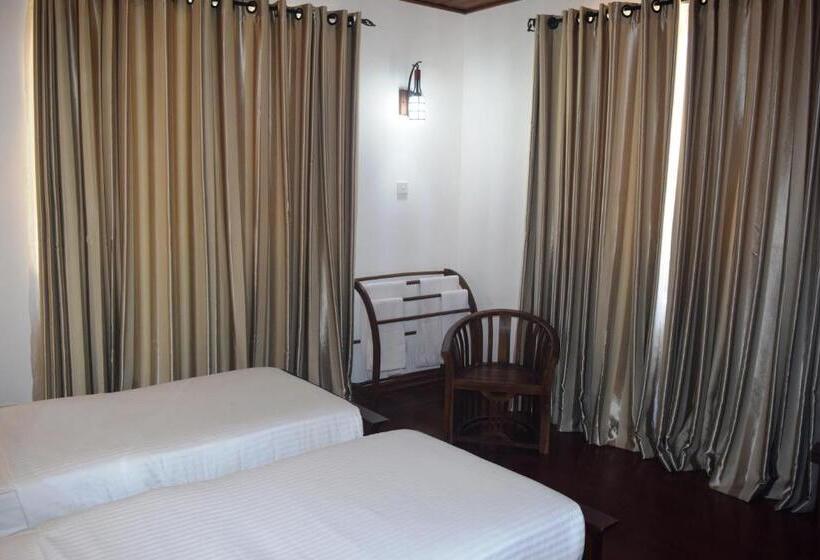 Отель Daffodil S