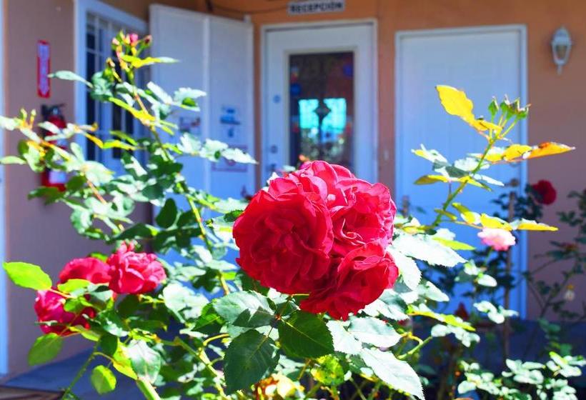 Отель Hostal Victoria Volcan Chiriqui