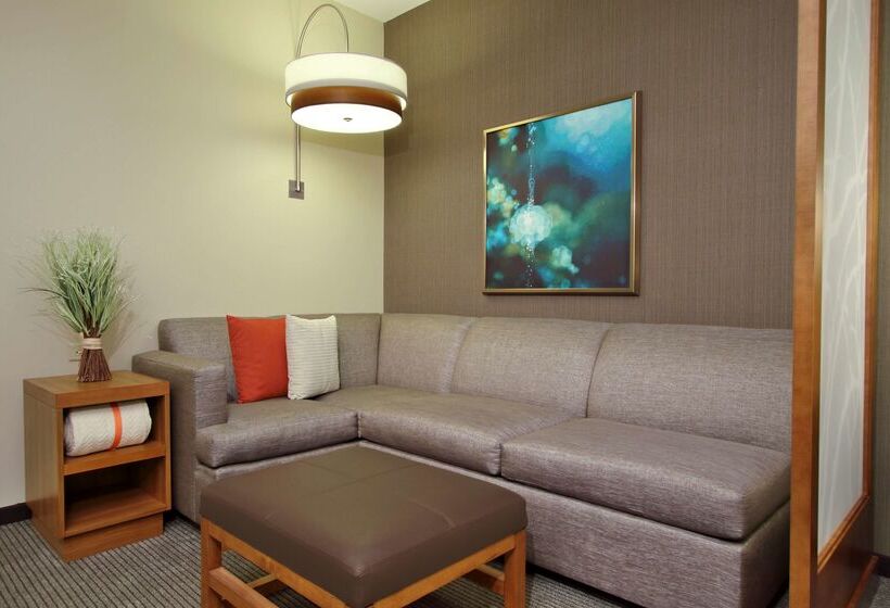 Отель Hyatt Place Houston Nw Vintage Park