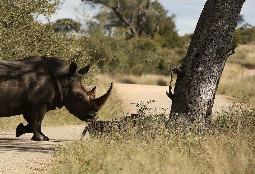 فندق Kambaku River Lodge