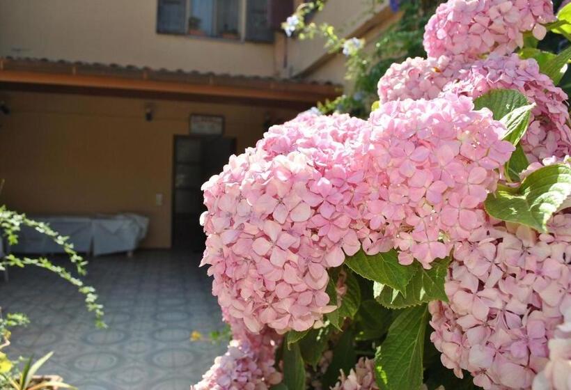 בית מלון כפרי La Pineta