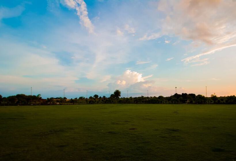 Отель Mittal Avenue & Paradise