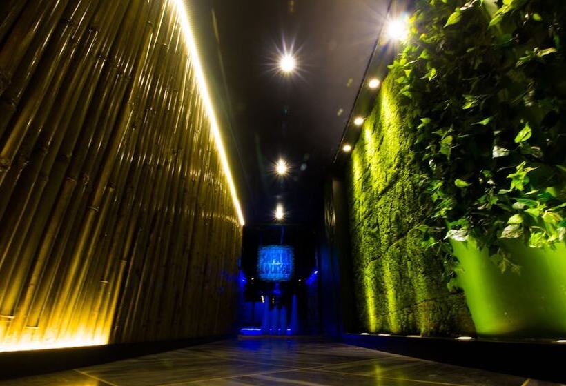 Отель Mittal Avenue & Paradise