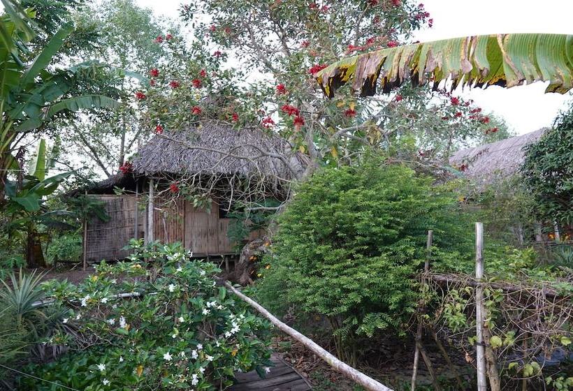 هتل Nguyen Shack Can Tho