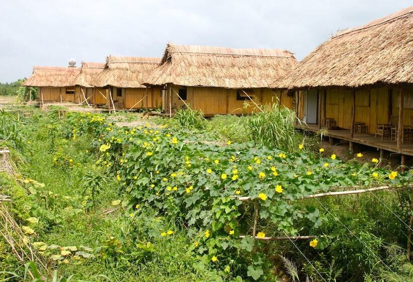 هتل Nguyen Shack Can Tho