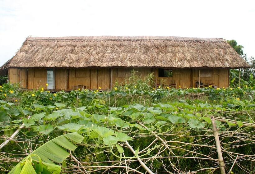 هتل Nguyen Shack Can Tho