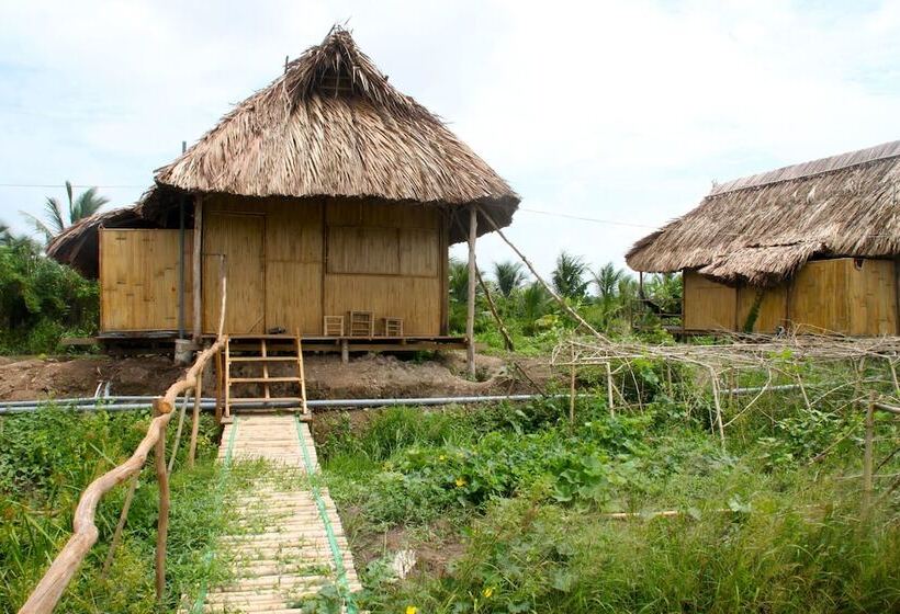 هتل Nguyen Shack Can Tho