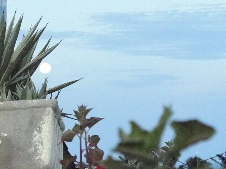 هتل Pousada Alternativa