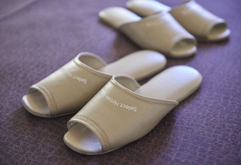 فندق Select Inn Isesaki