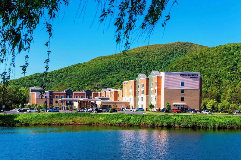 酒店 Springhill Suites By Marriott Fishkill