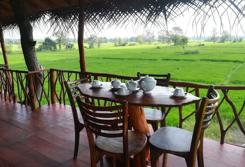 호텔 The Hideout Sigiriya