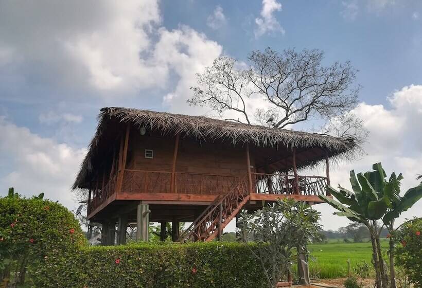 호텔 The Hideout Sigiriya