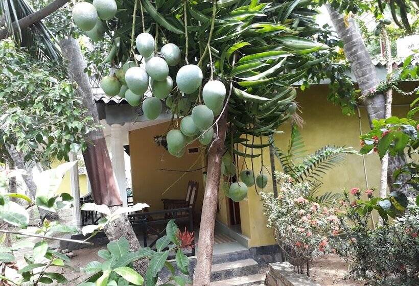 ホテル Traveller S Home