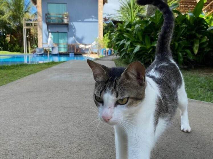 Отель Villa Pantai Milagres Exclusive