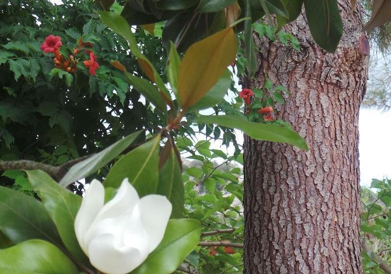 Isulella Hotel & Restaurant