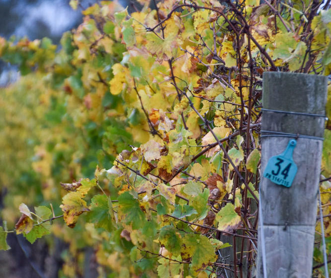 Lakeside Villas At Crittenden Estate