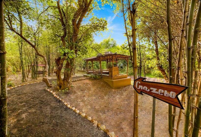 Lemon Tree Wildlife Resort, Bandhavgarh