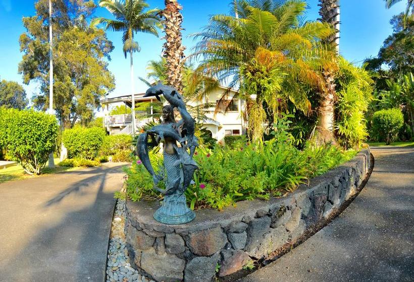 مبيت وإفطار Mermaid Dreams