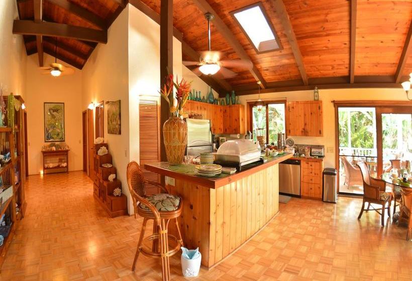 مبيت وإفطار Mermaid Dreams