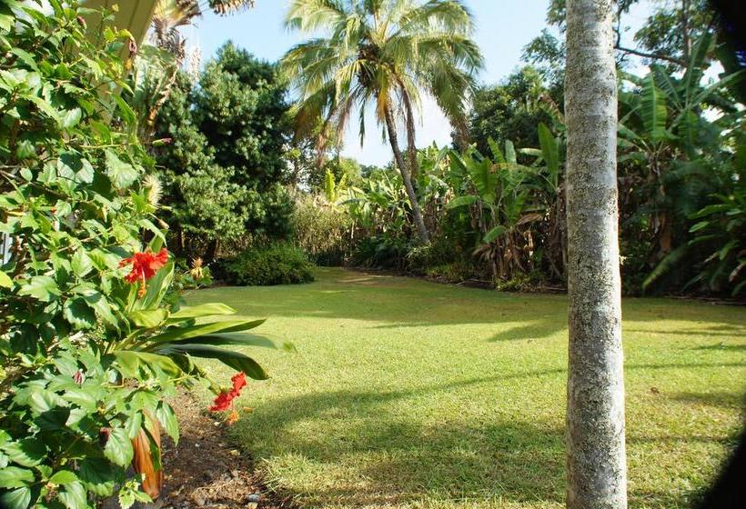 مبيت وإفطار Mermaid Dreams