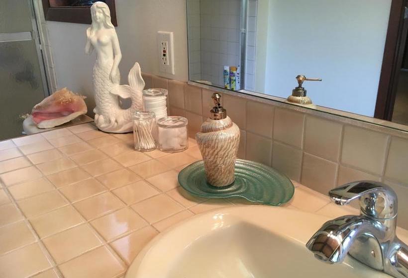 مبيت وإفطار Mermaid Dreams