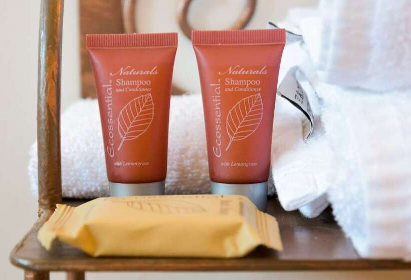 مُتل The Shores Inn