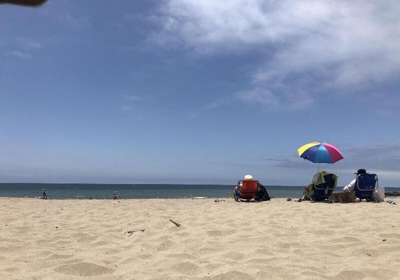 모텔 The Shores Inn