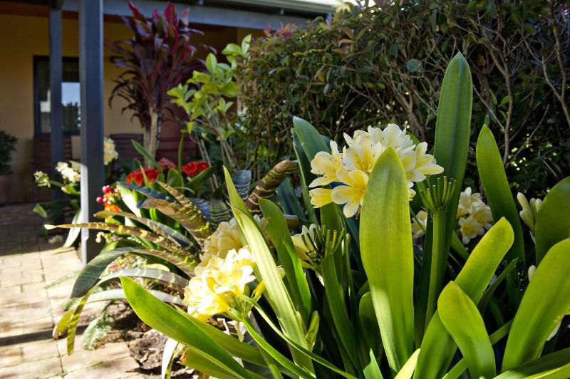 מוטל Vintages Accommodation