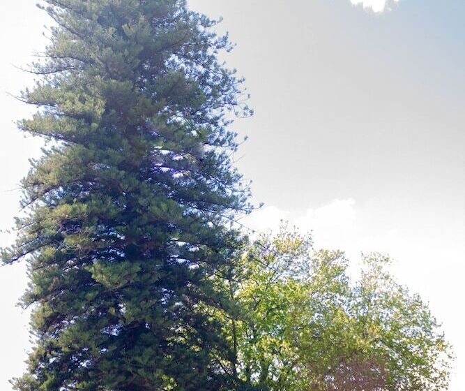 پانسیون Adley House