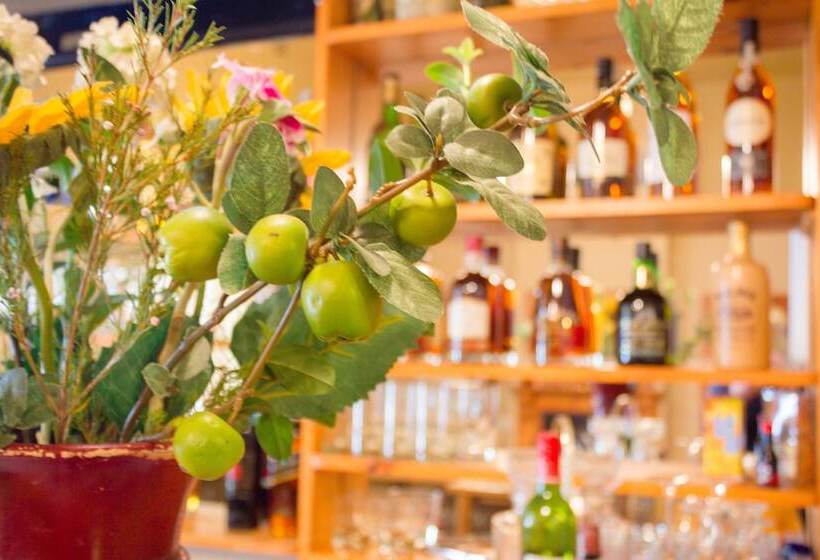 پانسیون Adley House