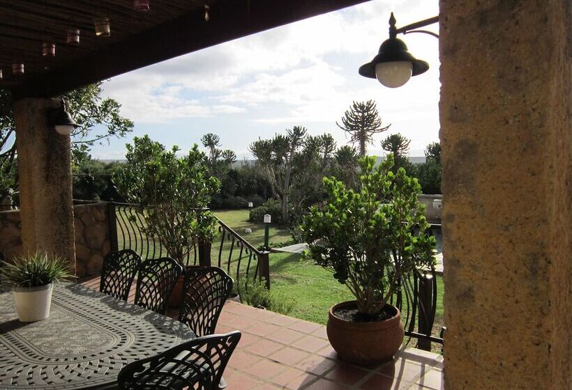 پانسیون Dio Dellamore Guest House