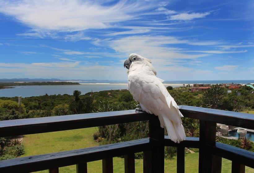 پانسیون Dio Dellamore Guest House