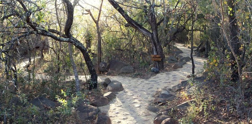 פנסיון Isibindi Zulu Lodge